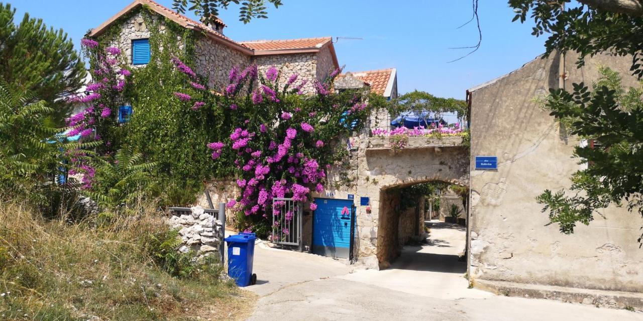 Charming Dalmatian Apartment With Panoramic View Tkon Kültér fotó